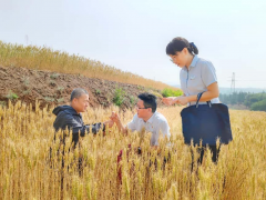 山西农商行以金融力量提振消费活力