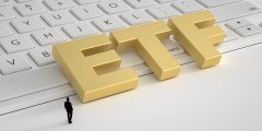 中鼎股份：公司现有密封、橡胶业务及轻量化业