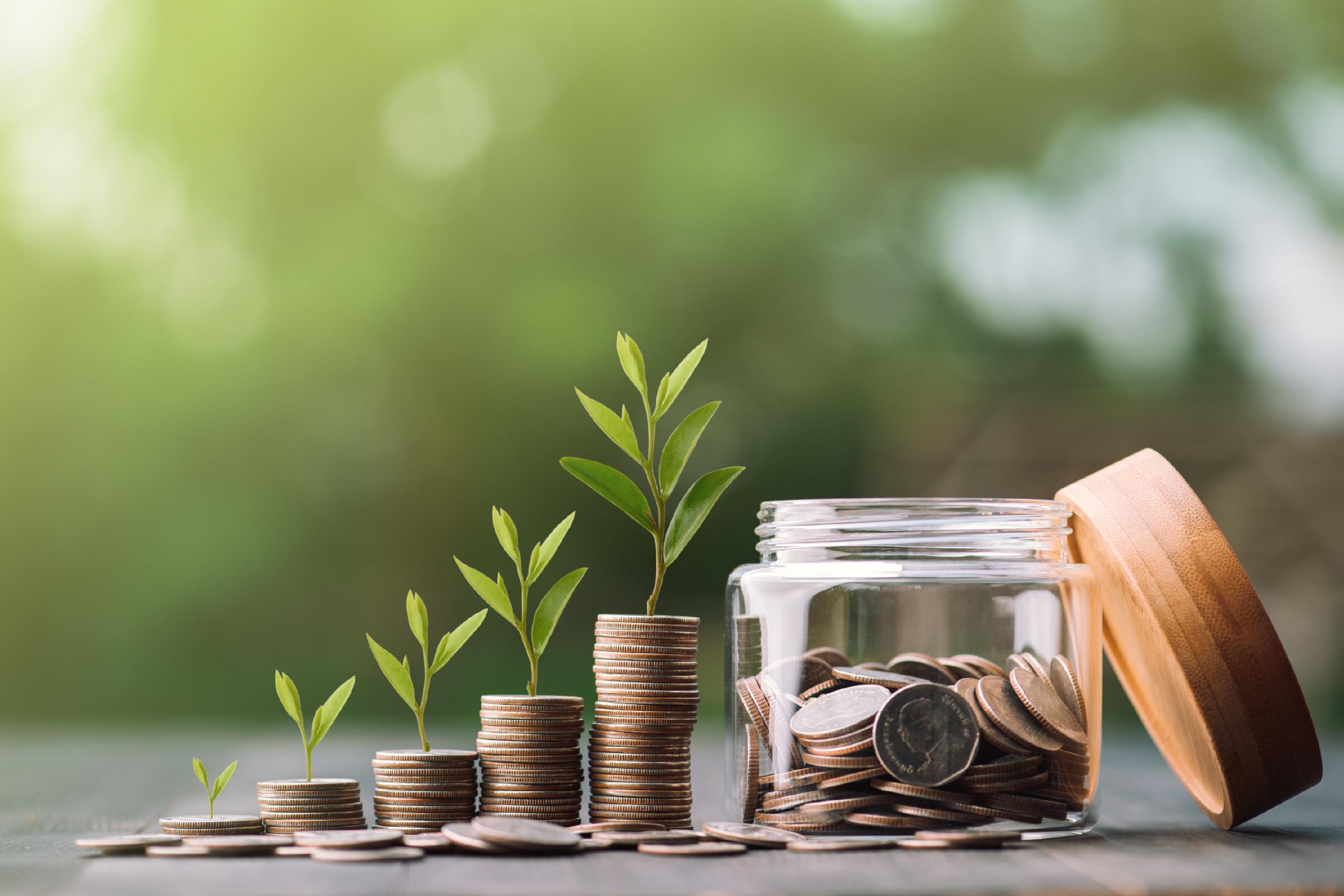 南方财经编委陈晨星：让金融资源高效流向创新最前沿