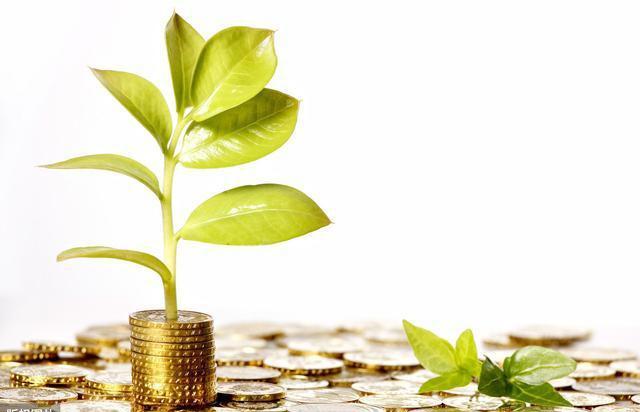 金融腐败的4种套路如何惩治？