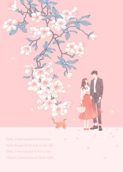 ��С���Ϲ��